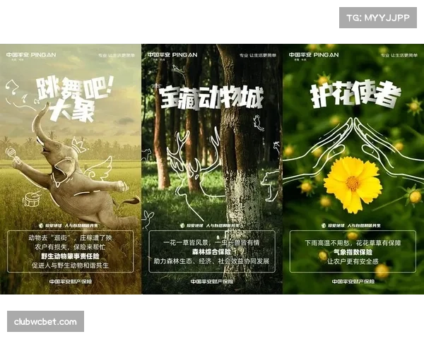 新一期体育赛事运营报告聚焦绿色办赛与可持续发展路径